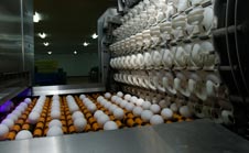 Production 