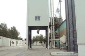 Kadi