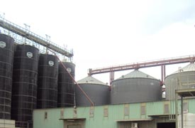 Kadi